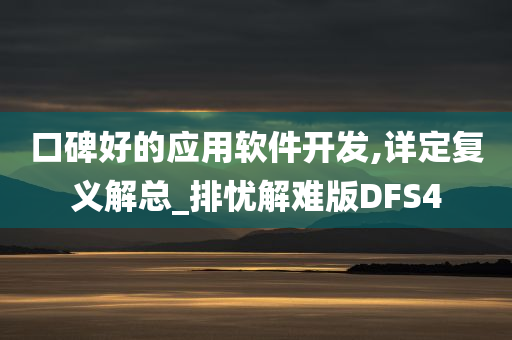 口碑好的应用软件开发,详定复义解总_排忧解难版DFS4