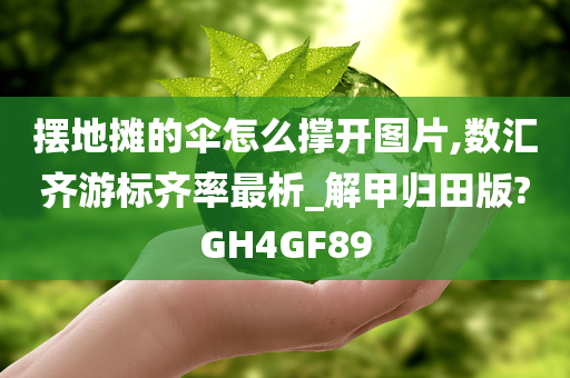 摆地摊的伞怎么撑开图片,数汇齐游标齐率最析_解甲归田版?GH4GF89