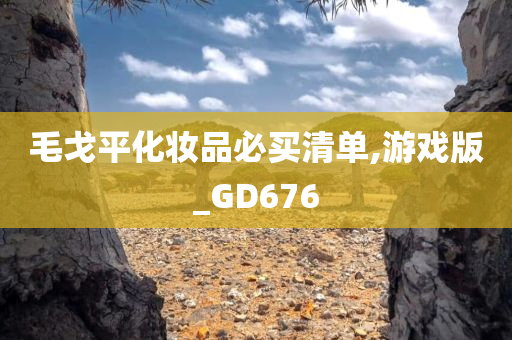 毛戈平化妆品必买清单,游戏版_GD676