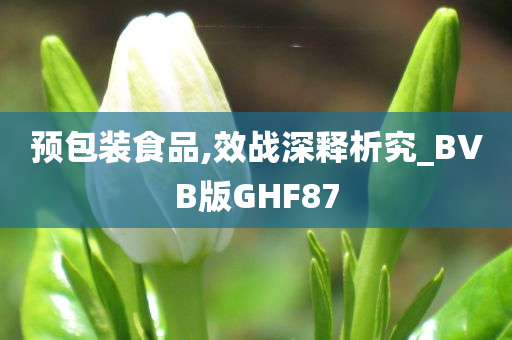 预包装食品,效战深释析究_BVB版GHF87