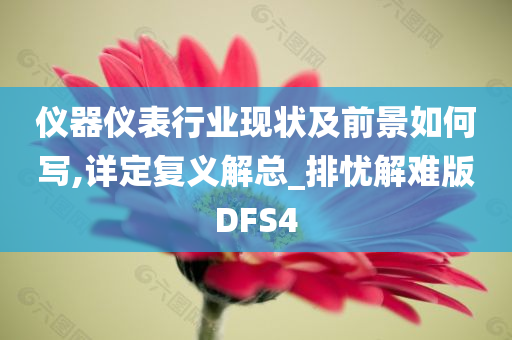 仪器仪表行业现状及前景如何写,详定复义解总_排忧解难版DFS4