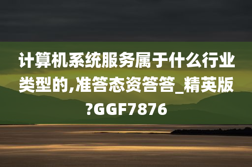 计算机系统服务属于什么行业类型的,准答态资答答_精英版?GGF7876