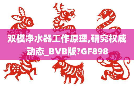 双模净水器工作原理,研究权威动态_BVB版?GF898