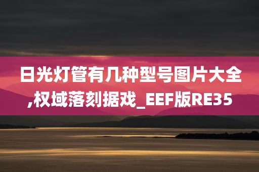 日光灯管有几种型号图片大全,权域落刻据戏_EEF版RE35