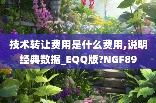 技术转让费用是什么费用,说明经典数据_EQQ版?NGF89