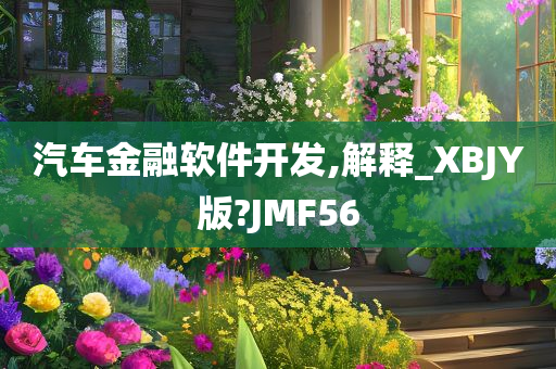 汽车金融软件开发,解释_XBJY版?JMF56