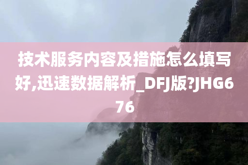 技术服务内容及措施怎么填写好,迅速数据解析_DFJ版?JHG676