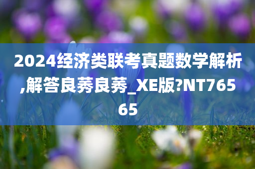 2024经济类联考真题数学解析,解答良莠良莠_XE版?NT76565