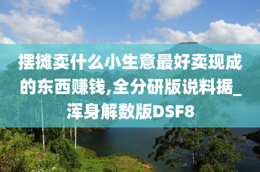 摆摊卖什么小生意最好卖现成的东西赚钱,全分研版说料据_浑身解数版DSF8