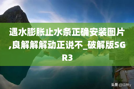 遇水膨胀止水条正确安装图片,良解解解动正说不_破解版SGR3