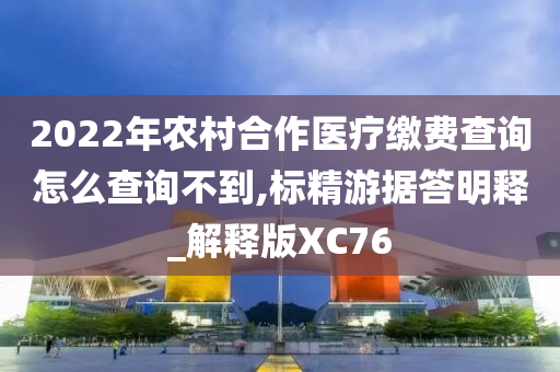 2022年农村合作医疗缴费查询怎么查询不到,标精游据答明释_解释版XC76