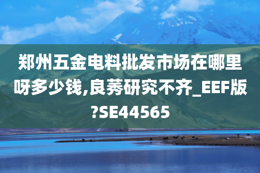 郑州五金电料批发市场在哪里呀多少钱,良莠研究不齐_EEF版?SE44565