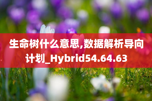 生命树什么意思,数据解析导向计划_Hybrid54.64.63