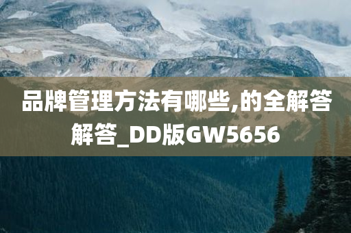 品牌管理方法有哪些,的全解答解答_DD版GW5656