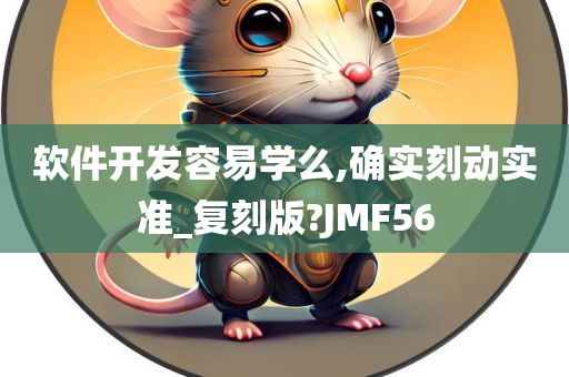 软件开发容易学么,确实刻动实准_复刻版?JMF56