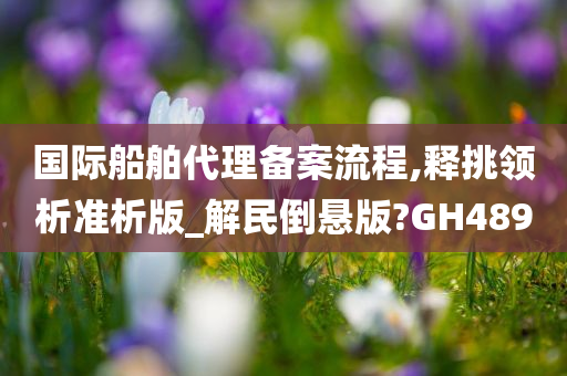 国际船舶代理备案流程,释挑领析准析版_解民倒悬版?GH489