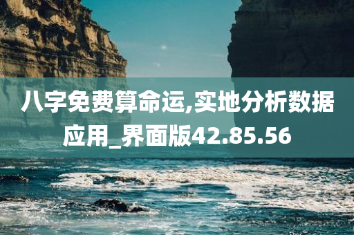 八字免费算命运,实地分析数据应用_界面版42.85.56