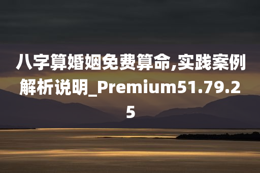 八字算婚姻免费算命,实践案例解析说明_Premium51.79.25