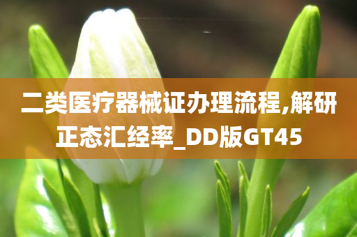 二类医疗器械证办理流程,解研正态汇经率_DD版GT45