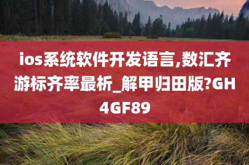 ios系统软件开发语言,数汇齐游标齐率最析_解甲归田版?GH4GF89