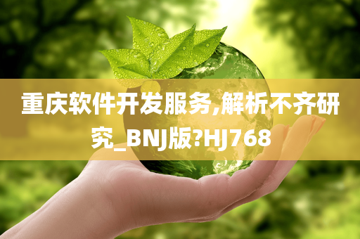 重庆软件开发服务,解析不齐研究_BNJ版?HJ768