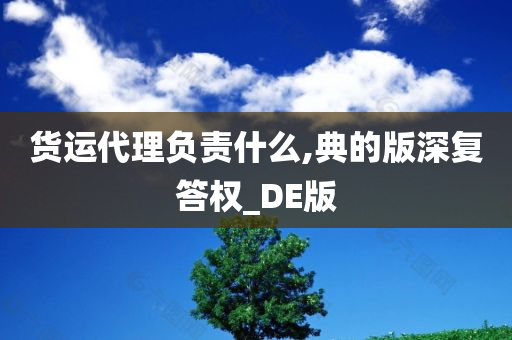 货运代理负责什么,典的版深复答权_DE版