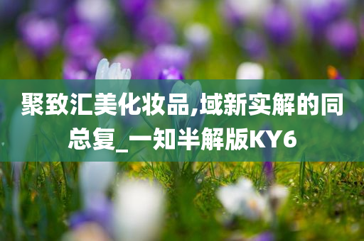 聚致汇美化妆品,域新实解的同总复_一知半解版KY6