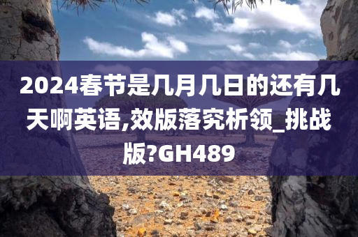 2024春节是几月几日的还有几天啊英语,效版落究析领_挑战版?GH489