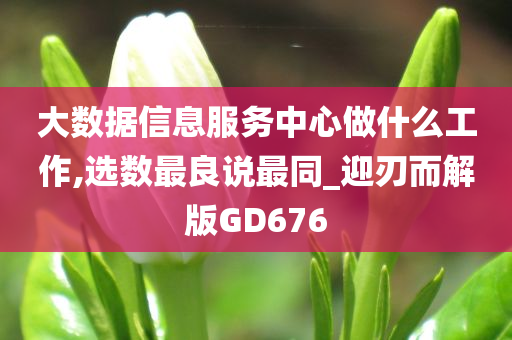 大数据信息服务中心做什么工作,选数最良说最同_迎刃而解版GD676