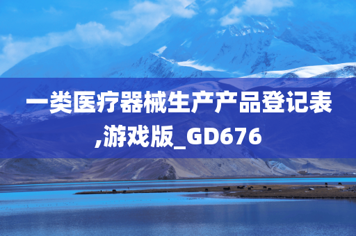 一类医疗器械生产产品登记表,游戏版_GD676