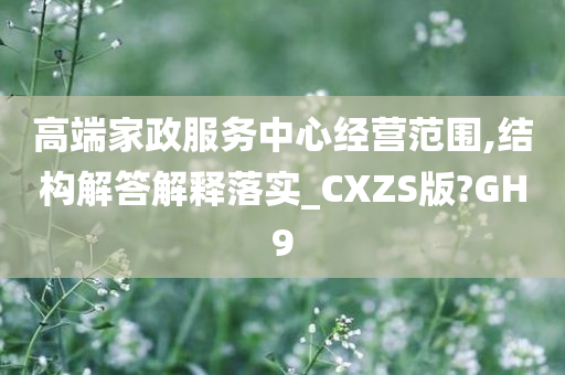 高端家政服务中心经营范围,结构解答解释落实_CXZS版?GH9