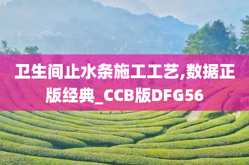 卫生间止水条施工工艺,数据正版经典_CCB版DFG56