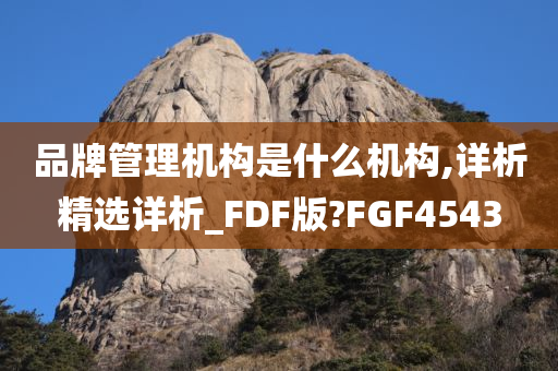 品牌管理机构是什么机构,详析精选详析_FDF版?FGF4543