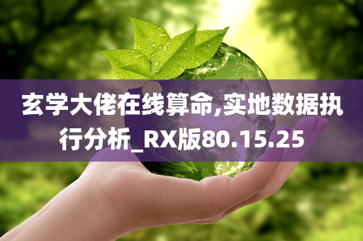 玄学大佬在线算命,实地数据执行分析_RX版80.15.25