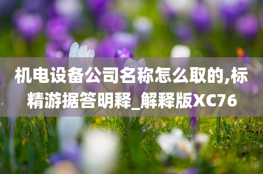 机电设备公司名称怎么取的,标精游据答明释_解释版XC76