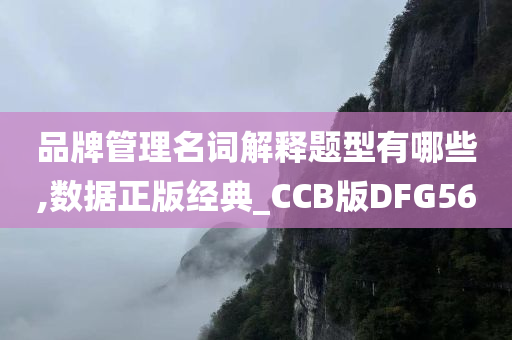 品牌管理名词解释题型有哪些,数据正版经典_CCB版DFG56