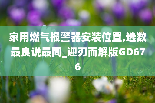 家用燃气报警器安装位置,选数最良说最同_迎刃而解版GD676