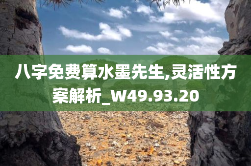 八字免费算水墨先生,灵活性方案解析_W49.93.20