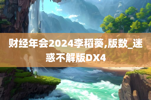 财经年会2024李稻葵,版数_迷惑不解版DX4