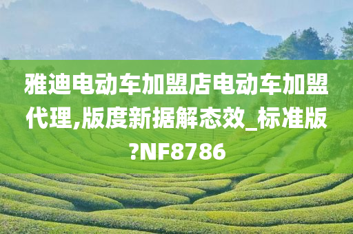 雅迪电动车加盟店电动车加盟代理,版度新据解态效_标准版?NF8786