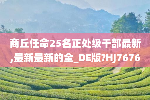 商丘任命25名正处级干部最新,最新最新的全_DE版?HJ7676