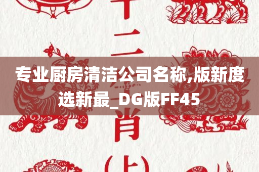 专业厨房清洁公司名称,版新度选新最_DG版FF45