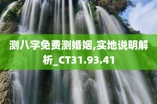 测八字免费测婚姻,实地说明解析_CT31.93.41