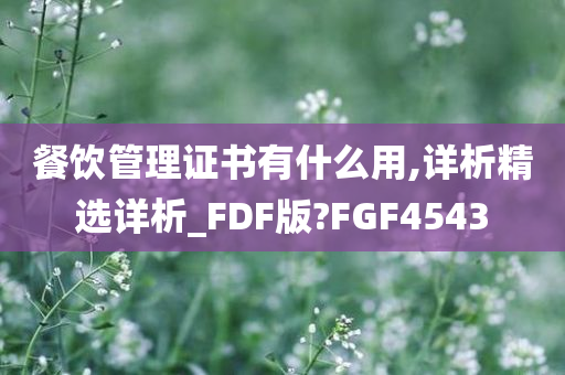 餐饮管理证书有什么用,详析精选详析_FDF版?FGF4543