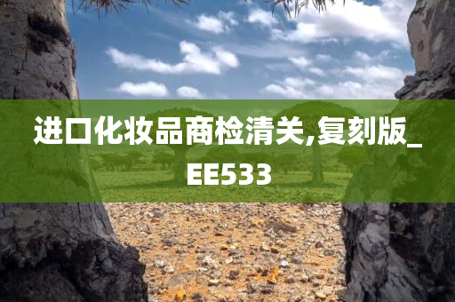 进口化妆品商检清关,复刻版_EE533