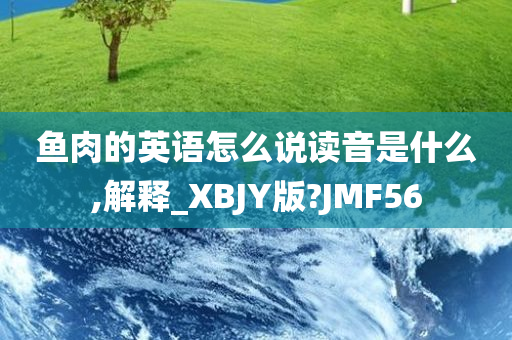 鱼肉的英语怎么说读音是什么,解释_XBJY版?JMF56