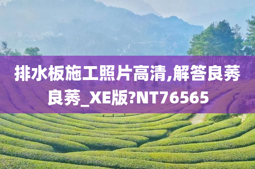 排水板施工照片高清,解答良莠良莠_XE版?NT76565