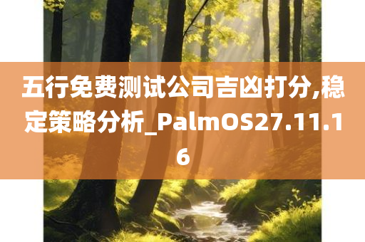 五行免费测试公司吉凶打分,稳定策略分析_PalmOS27.11.16