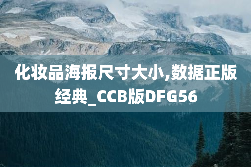 化妆品海报尺寸大小,数据正版经典_CCB版DFG56