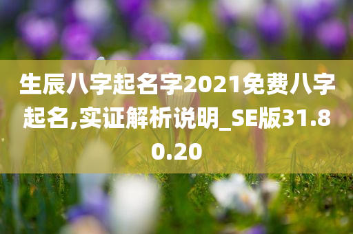 生辰八字起名字2021免费八字起名,实证解析说明_SE版31.80.20